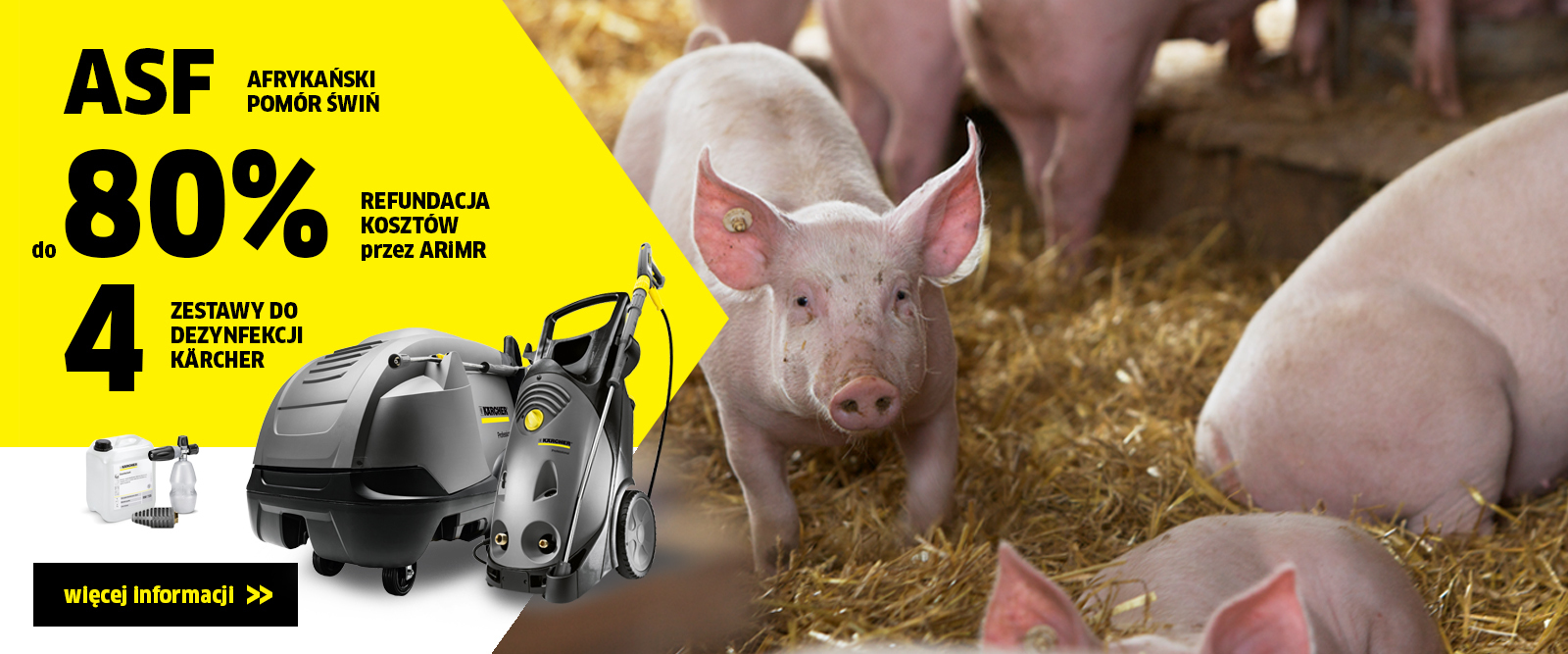 baner akcji Afrykański pomór świń - dopłaty ARiMR